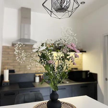 Cozy With Terrace + Free Parking Apartment