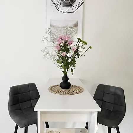 Cozy With Terrace + Free Parking Opatija
